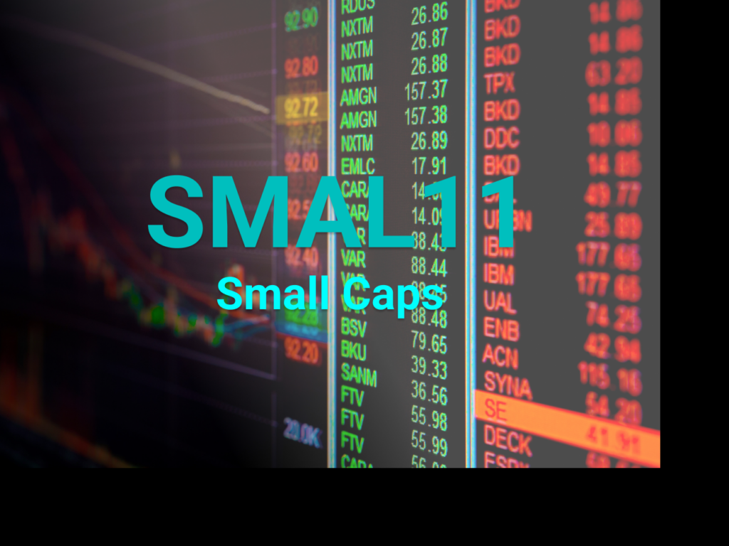SMAL11