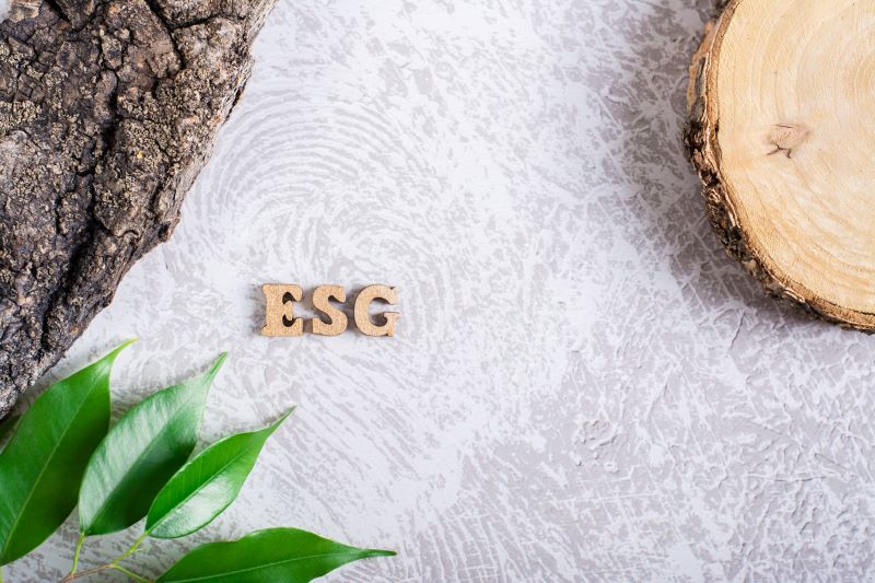 ESG no Brasil