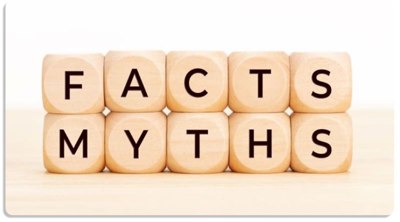 Cubos com as palavras facts (fatos) e myths (mitos)